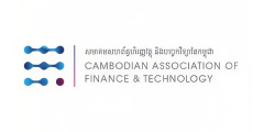 international_fintech_and_digital_financial_services_association_13